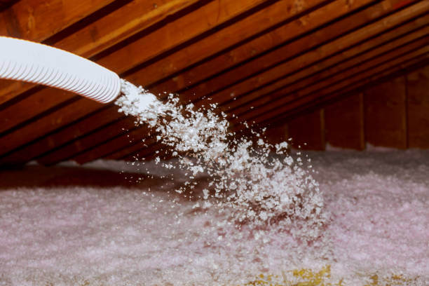 Best Insulation Air Sealing  in Arcadia, FL