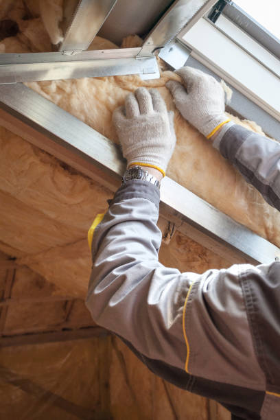 Types of Insulation We Offer in Arcadia, FL